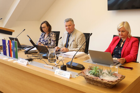 16. redna seja OS 12 Foto Ljubo Vukelič